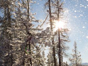 16 snow falling on me (Christmas Day)