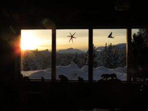 20 sunset into fog (Christmas Day)