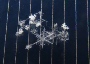 4 snowflakesjpg (Christmas Day)