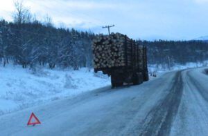 5 dead logging truck (Warm)