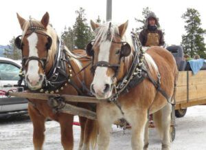 5 santa’s sleigh best (Tatla Lake School Santa Breakfast)