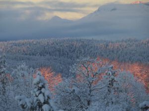 6 fog clearing (Christmas Day)