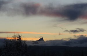 FP poking out (Solstice Greetings 2015)