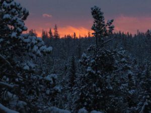 gloomy sunrise (Solstice Greetings 2015)