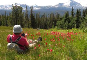 long-meadow (Nuk Tessli)