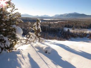 12 south bluff 1 (New Year 2016)