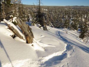 13 south bluff new trail (New Year 2016)