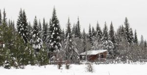14 colourless barn (Gloomiest Winter on Record)