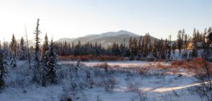 17 house plus evening (New Year 2016)