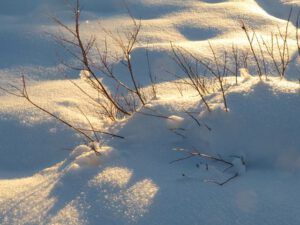 18 yellow light (New Year 2016)