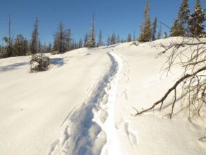 2 north bluff 2 (New Year 2016)