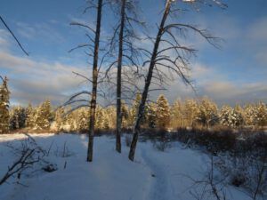 20 evening cloud (New Year 2016)