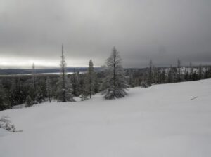 22 on dunes lake (Gloomiest Winter on Record)