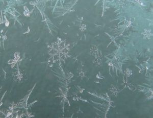 4 more ice crystals (Gloomiest Winter on Record)