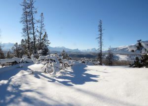 4 north bluffs (New Year 2016)