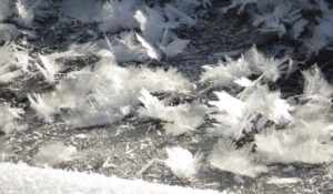 8 river ice crystals (Gloomiest Winter on Record)