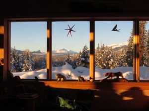 9 mornoing sun on window (New Year 2016)