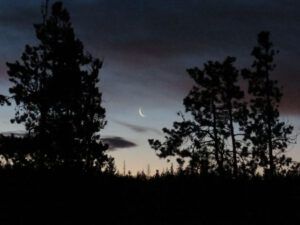 1 last of moon (Thaw and Harry Update)