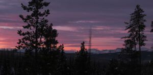 1 pink light (Into February Already)