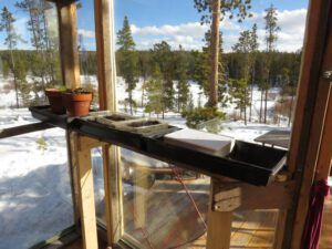 20 greenhouse 1 shelf (Thaw and Harry Update)