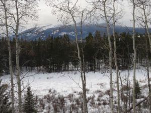 4 cloudy nogwon (Thaw and Harry Update)