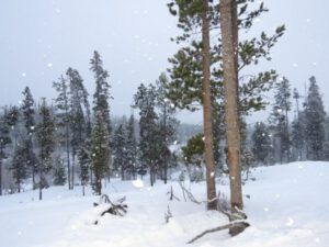 5 snowing (Thaw and Harry Update)