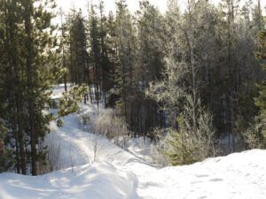 7 road near house (Thaw and Harry Update)