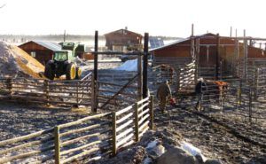 1 house panels and pens (Calving Season)