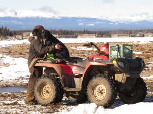 10 4-wheeler (Calving Season)