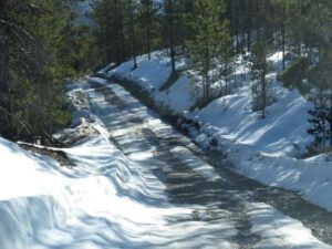 11 road (Signs of Spring!)