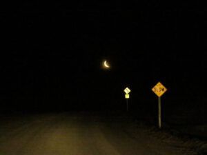 17 rising moon (Signs of Spring!)