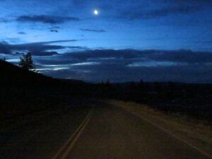 18 first light (Signs of Spring!)