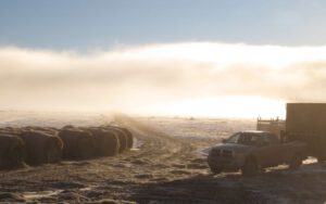 2 fog lifting (Calving Season)