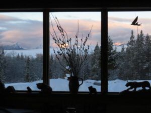 2 pussy willows (Signs of Spring!)