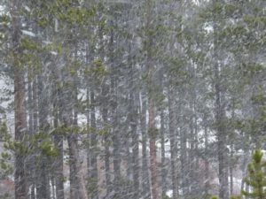 22 windy snow (Equinox)