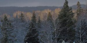 3 murky sun gleam (Equinox)