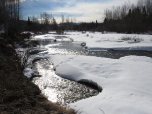 3 river 1 best (Signs of Spring!)