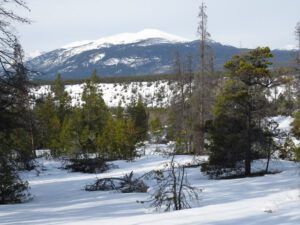 31 losing sun (Equinox)