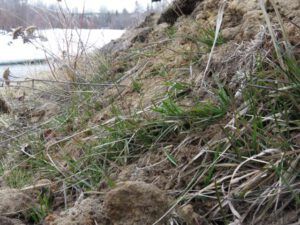 34 First green best (Equinox)