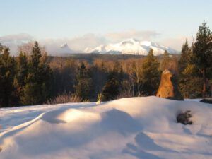 4 morning sun (Signs of Spring!)