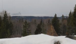 5 gloom (Signs of Spring!)