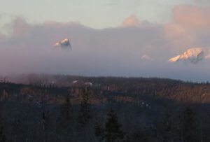 7 FP peeking (Signs of Spring!)