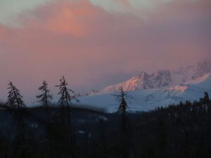 8 pink sunrise (Signs of Spring!)