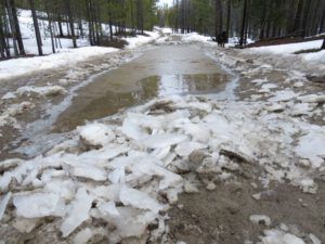 puddle best (Equinox)