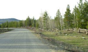 13c greening grass (The 3-Day Summer)