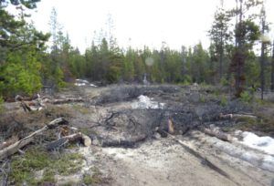 14 logging mess (The 3-Day Summer)