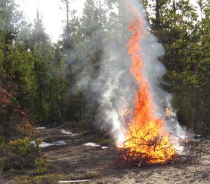 15 burning (The 3-Day Summer)