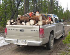 16 load of wood (The 3-Day Summer)