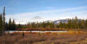 16a willow colour (The 3-Day Summer)