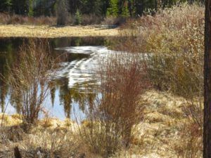 16b last of pond ice (The 3-Day Summer)